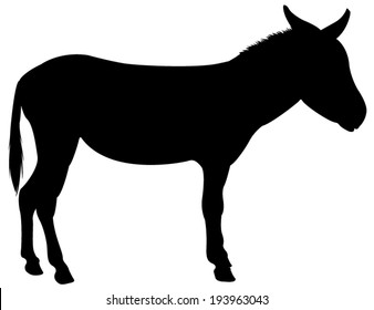 vector file of donkey