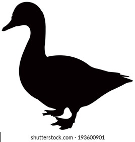 vector file of duck