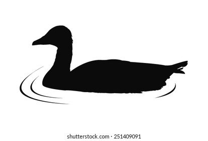 vector file of duck silhouette
