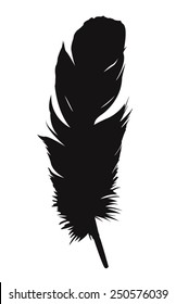 vector file of feather silhouette