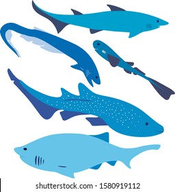 Vector file of five types of shark forms.