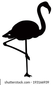 vector file of flamingo