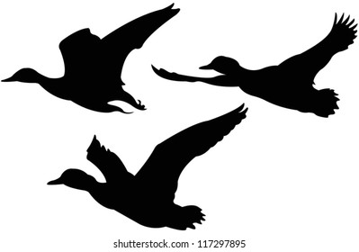 vector file of flying ducks