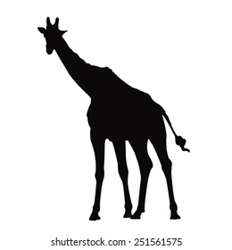 vector file of giraffe