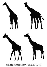 vector file of giraffe silhouette