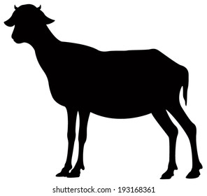 vector file of goat