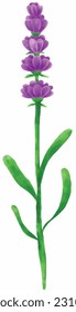Archivo vectorial de la flor acuarela de dibujo manual 