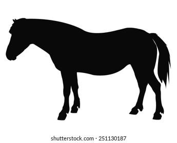 vector file of horse silhouette