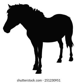 vector file of horse silhouette
