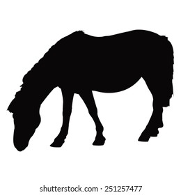 vector file of horse silhouette
