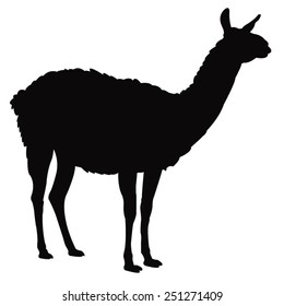 vector file of lama silhouette