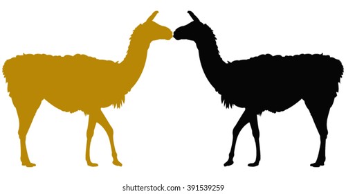 vector file of lama silhouette