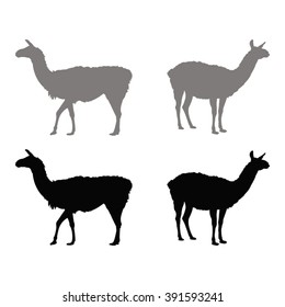 vector file of lama silhouette