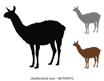 vector file of lama silhouette