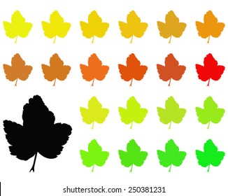 vector file of leaves
