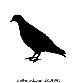 vector file of pigeon silhouette