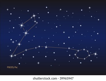 Vector file of the pisces stars constellation. Size and color can be changed.