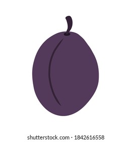 Vector file with purple plum 