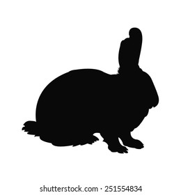 vector file of rabbit