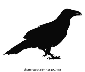 vector file of raven silhouette