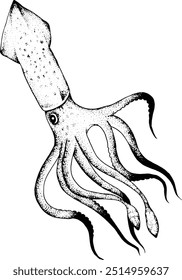 Vector file of a squid with black linework and transparent background. Illustration is hand drawn in a tattoo stippling style.