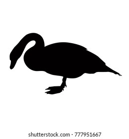 Vector file of swan silhouette