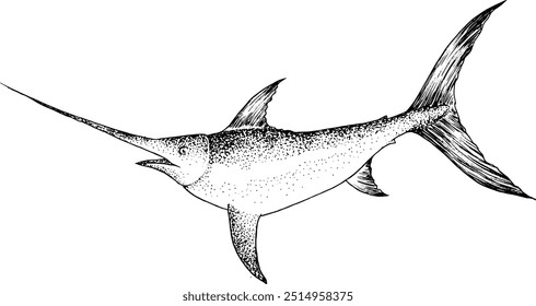 Arquivo vetorial de um espadarte com traço preto e fundo transparente. A ilustração é desenhada à mão em um estilo de pontilhamento de tatuagem.