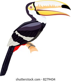 vector file toucan bird