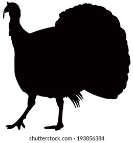 vector file of turkey silhouette