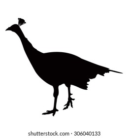 vector file of turkey silhouette