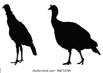 Vector file of turkey silhouette
