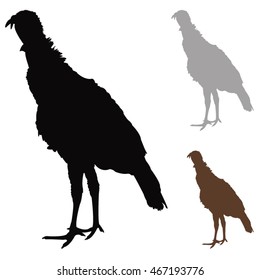 vector file of turkey silhouette