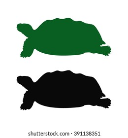 vector file of turtle silhouette