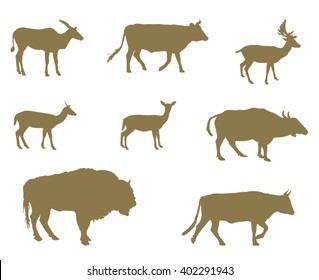 vector file of wild animal