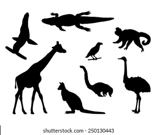 vector file of wild animals