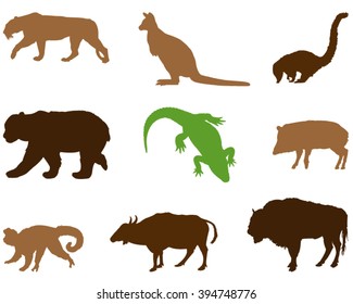 vector file of wild animals