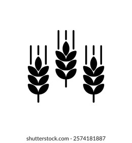 Vector Filled Farm Wheat Ears Icon. Whole Grain Black Filled Symbol Illustration for Organic Eco Business, Farming, Beer, Bakery. Gluten Free Logo.	