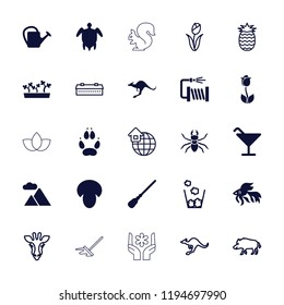 Vector  filled and outline icons such as mushroom, kangaroo, fish, animal paw, cocktail, watering can. editable nature icons for web and mobile.