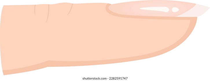 Vector of a finger with a beautiful nail, perfect for manicurists, beauty salons and spas