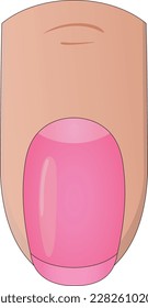 Vector of a finger with a beautiful pink and shiny nail, perfect for manicurists, beauty salons and spas