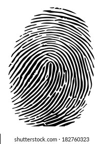 Vector of a fingerprint