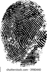 Vector Fingerprint