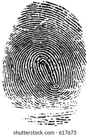 vector fingerprint