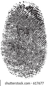 vector fingerprint