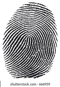 vector fingerprint