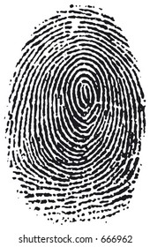 vector fingerprint