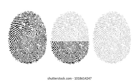 Vector fingerprint consisting of binary code