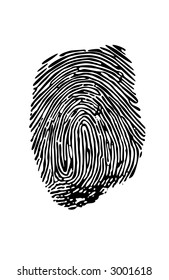 Vector fingerprint made from a photograph