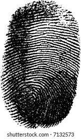 Vector fingerprint on white background