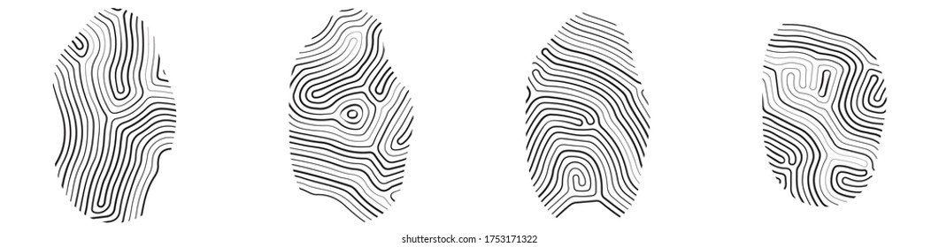Vector fingerprint set, for  authorization system